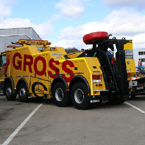 Gross GmbH & Co.KG (Tübingen)