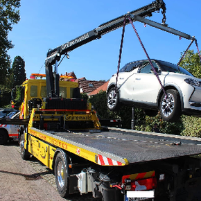 Grünenwald e.K. (Edenkoben)